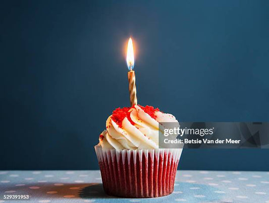 Sweet Whip Cupcake